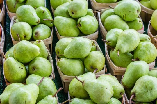 pears-scaled